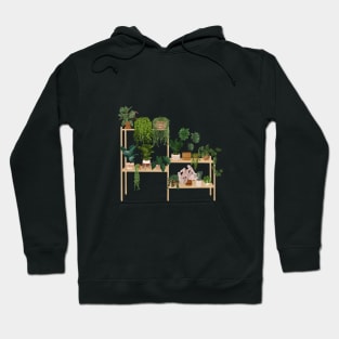 House plants illustration 37, Plant shelf art Hoodie